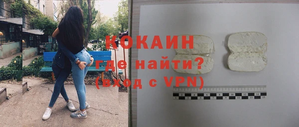 индика Бородино