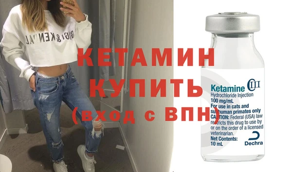 индика Бородино