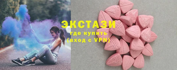 индика Бородино