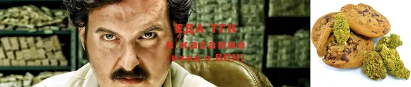 индика Бородино