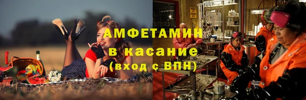 индика Бородино
