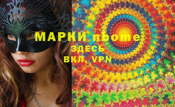 индика Бородино